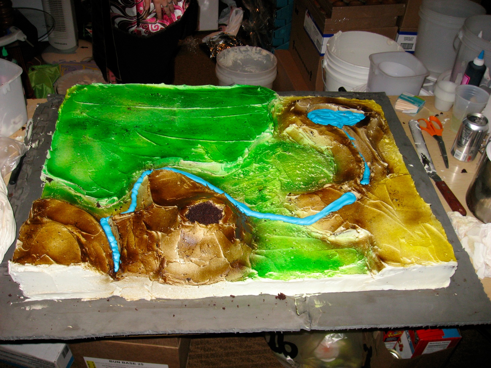 Zelda Overland Cake
