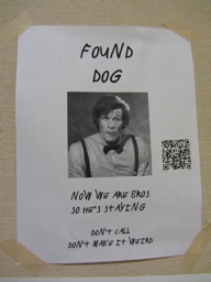 thumbnail of "Found Dog Sign"