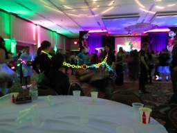 thumbnail of "Main Stage Dance Party - Limbo 2"