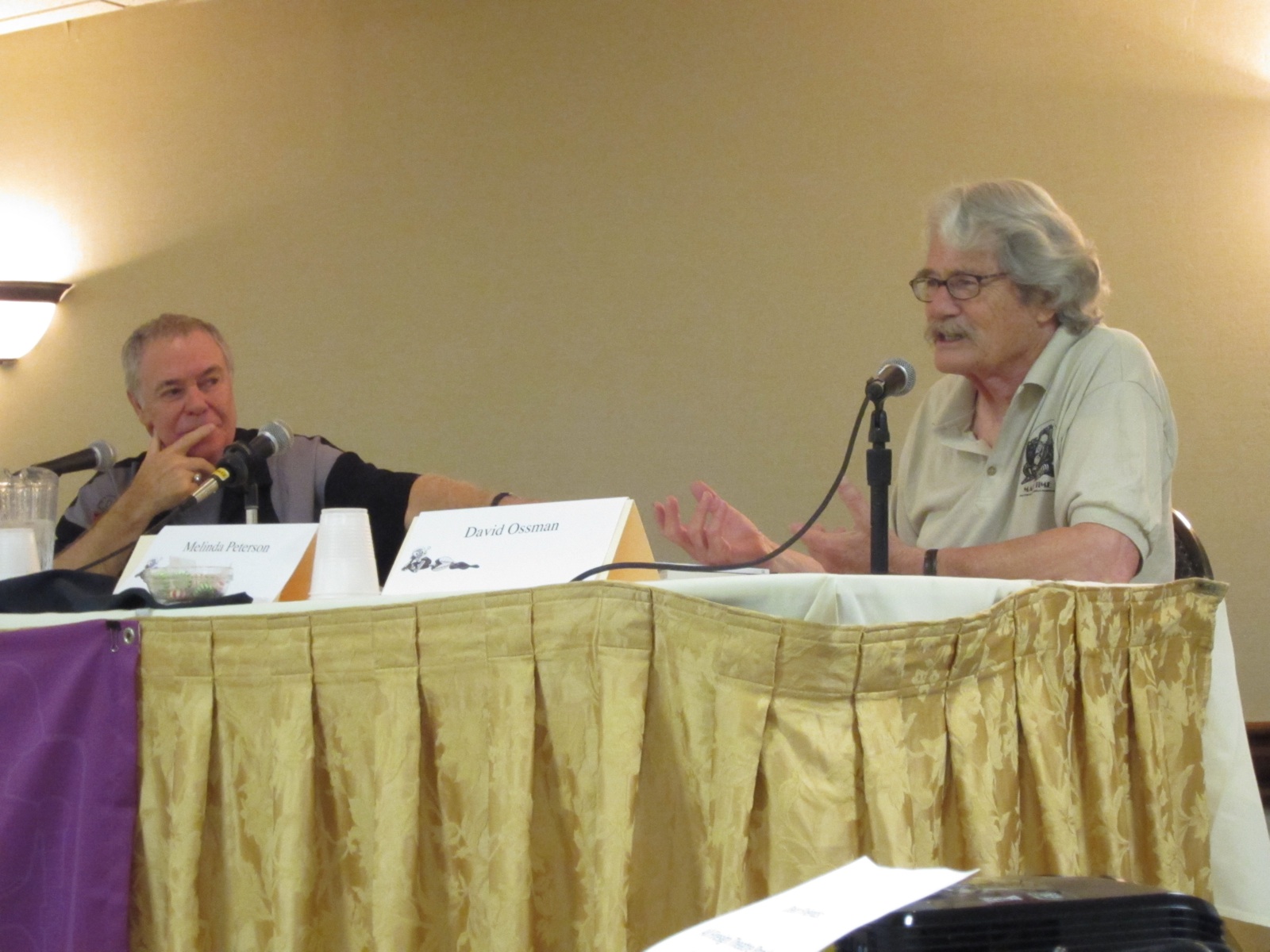 Firesign Theater Panel - 1