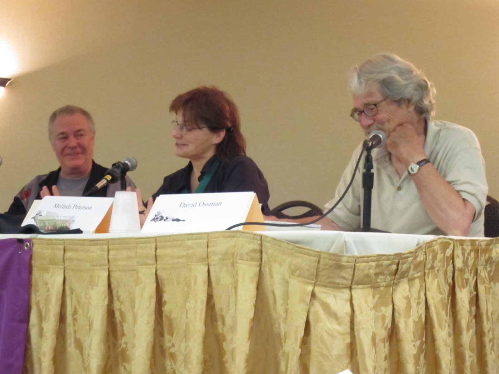 Firesign Theater Panel - 2