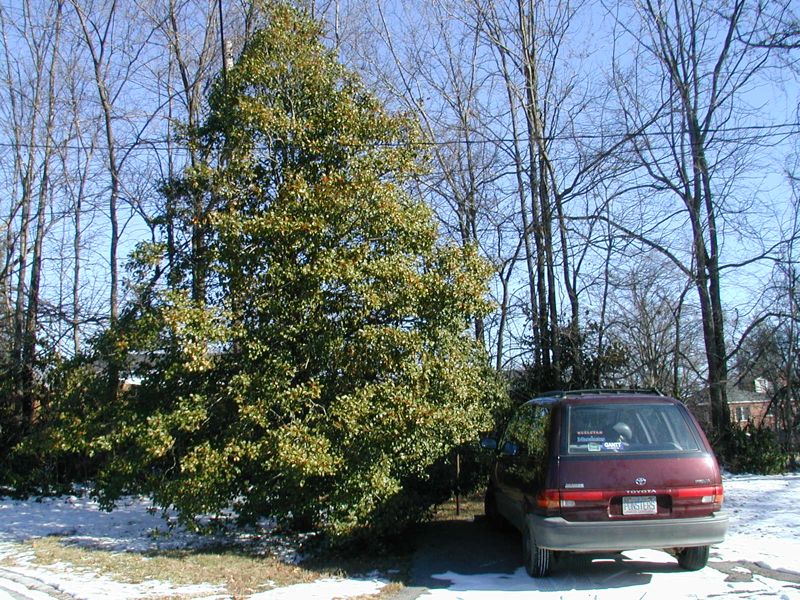 Holly and the Previa