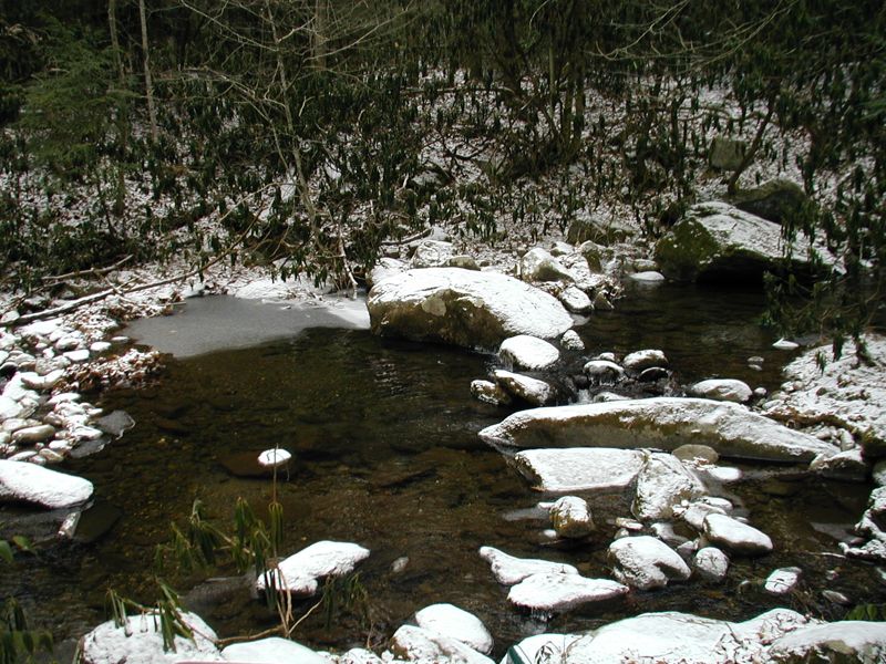 The Pool In Winter