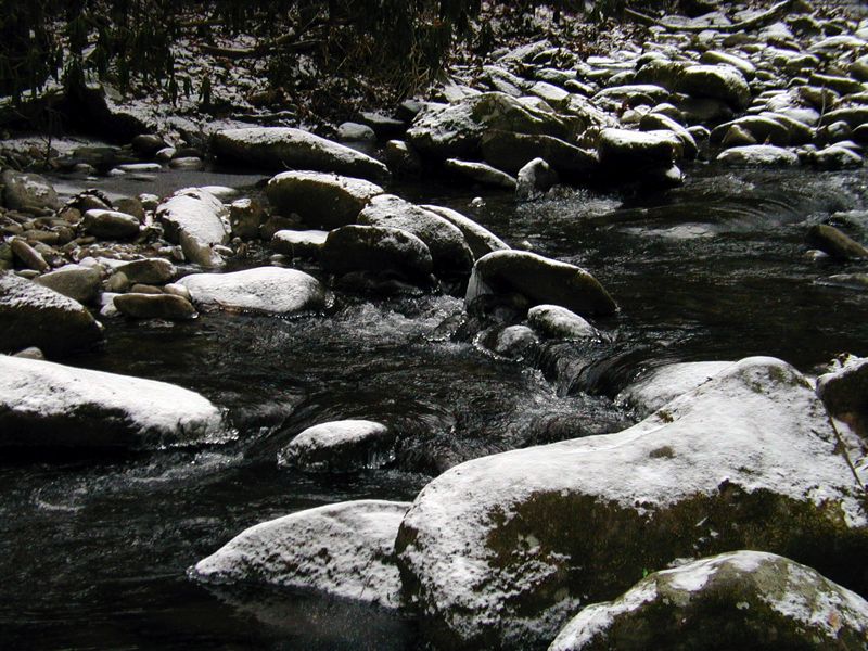 Snowy Creek - 1