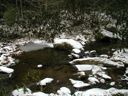 thumbnail of "The Pool In Winter"