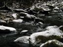 thumbnail of "Snowy Creek - 1"