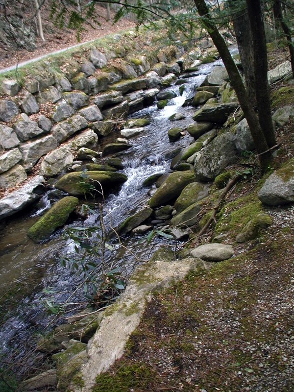 Creek - 8