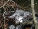 thumbnail of "Creek - 3"