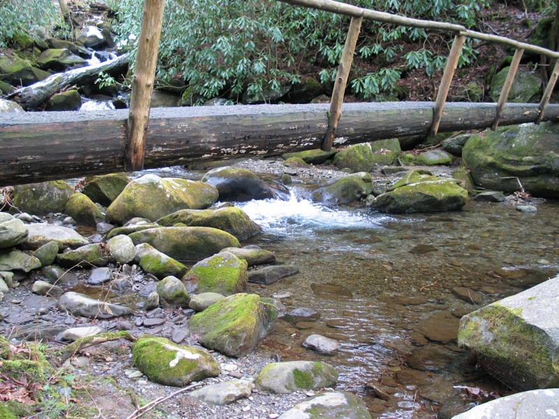 Bridge And Creek