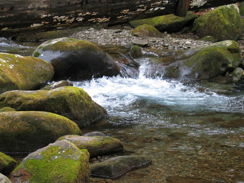 Creek Below Bridge