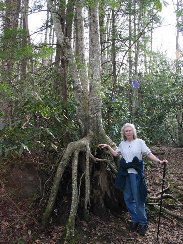 Joan With Roots