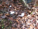 thumbnail of "A Little Snow Remains"