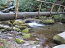 thumbnail of "Bridge And Creek"