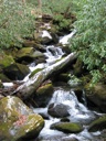 Thumbnail of Image- Creek - 4