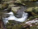 thumbnail of "Creek - 8"
