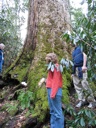 thumbnail of "Group Around The Poplar"