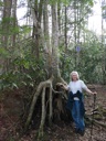 thumbnail of "Joan With Roots"