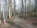 Thumbnail of Image- The Trail
