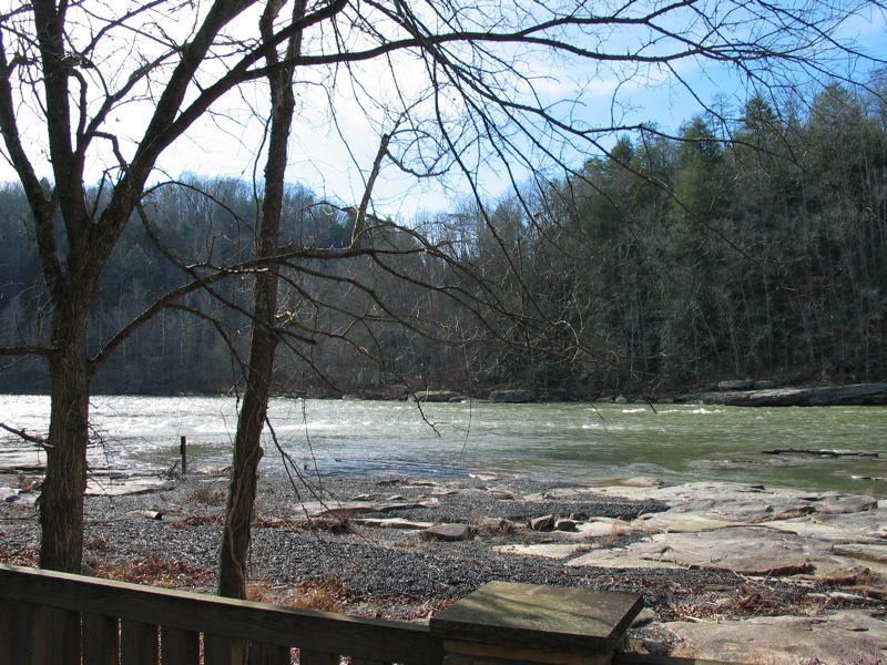 Trees And Water