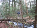 thumbnail of "Ike Crosses The Stream"