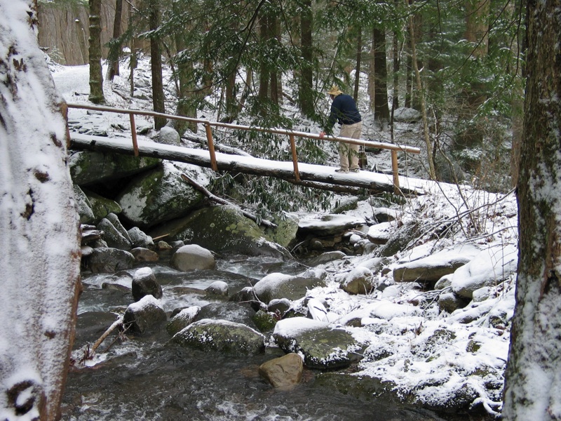 Henry- Snow Bridge Again