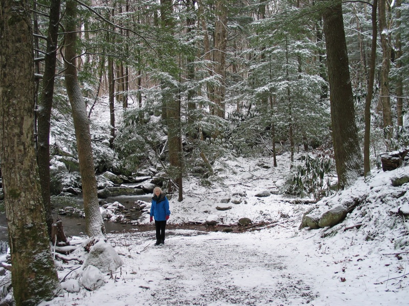 Joan In The Snowy Forest