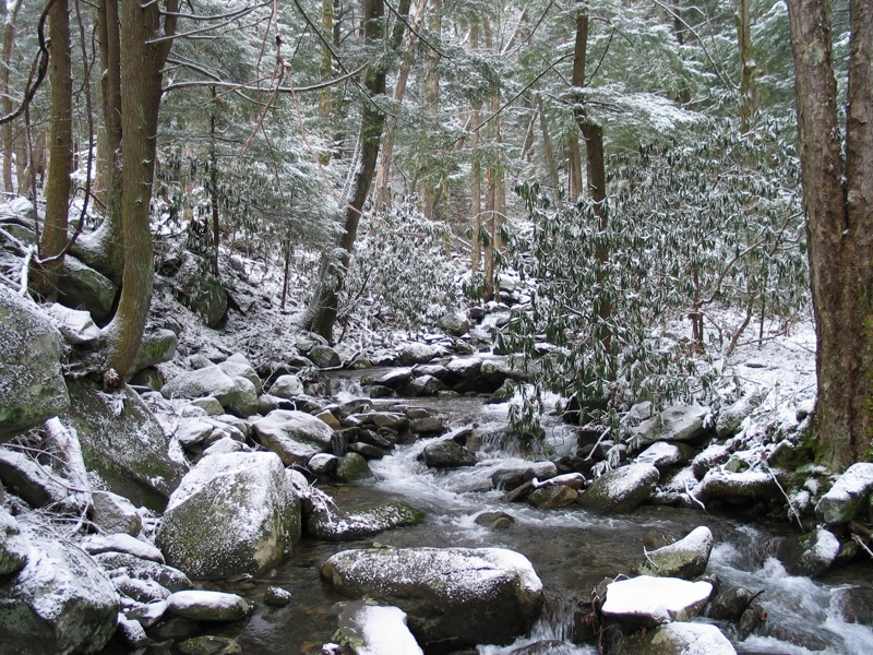 Snowy Creek