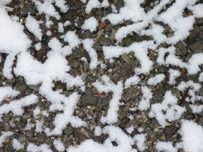 Snowy Rocks