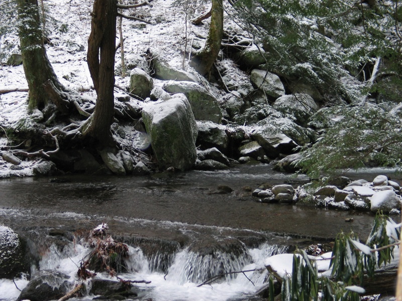 Snowy Stream