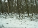 thumbnail of "Driving Through The Snow - 2"