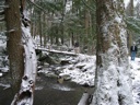 thumbnail of "Henry On Snowy Bridge"