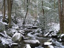 Thumbnail of Image- Snowy Creek