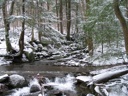 thumbnail of "Snowy River"