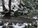 Thumbnail of Image- Snowy Stream