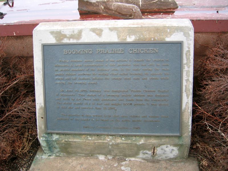 Giant Prairie Chicken Plaque