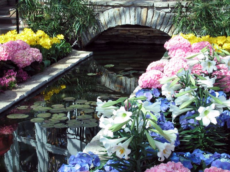 Flowers - 2