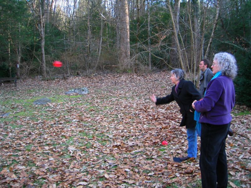 Ann's Throw