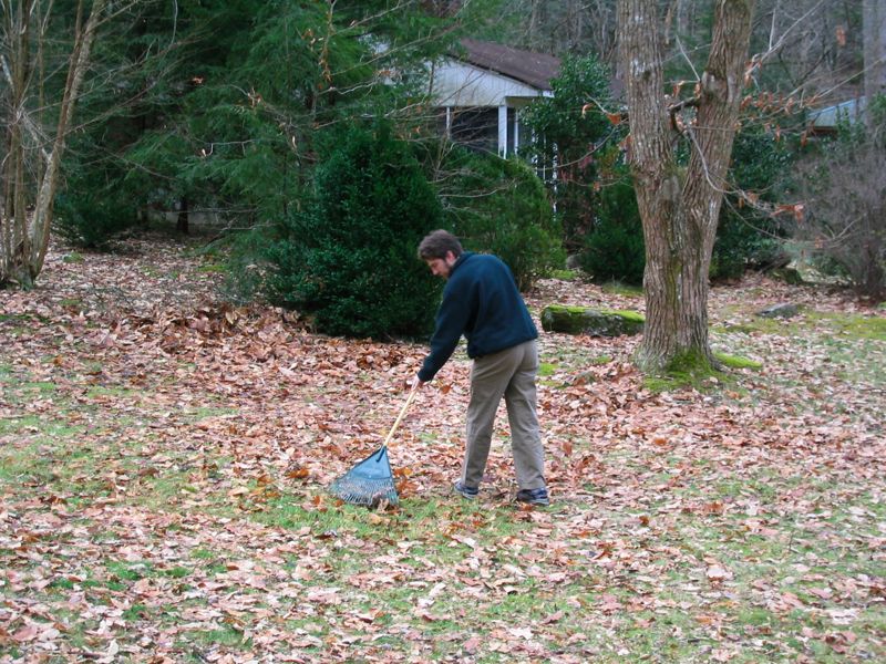 Ike Grooms The Field