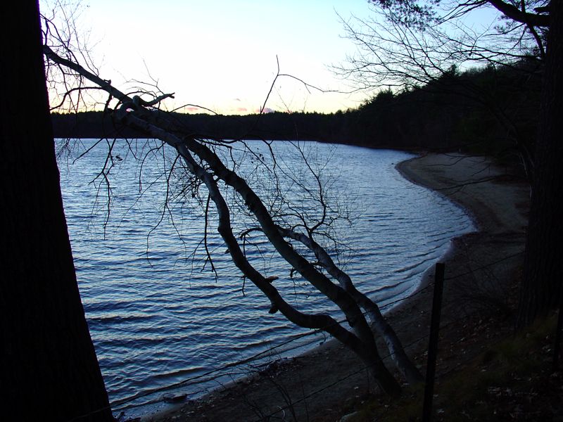 Walden Pond - 1