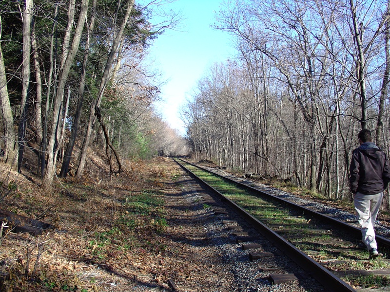 Walking The Tracks