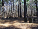 thumbnail of "Old Settlers' Burial Ground"