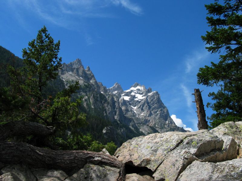 The Grand Tetons - 1