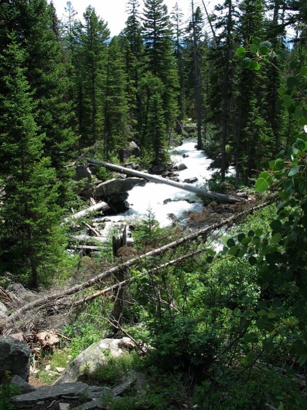 Cascade Creek - 3
