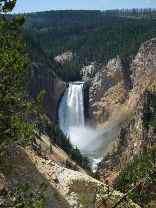 Lower Falls of Yellowstone - 3