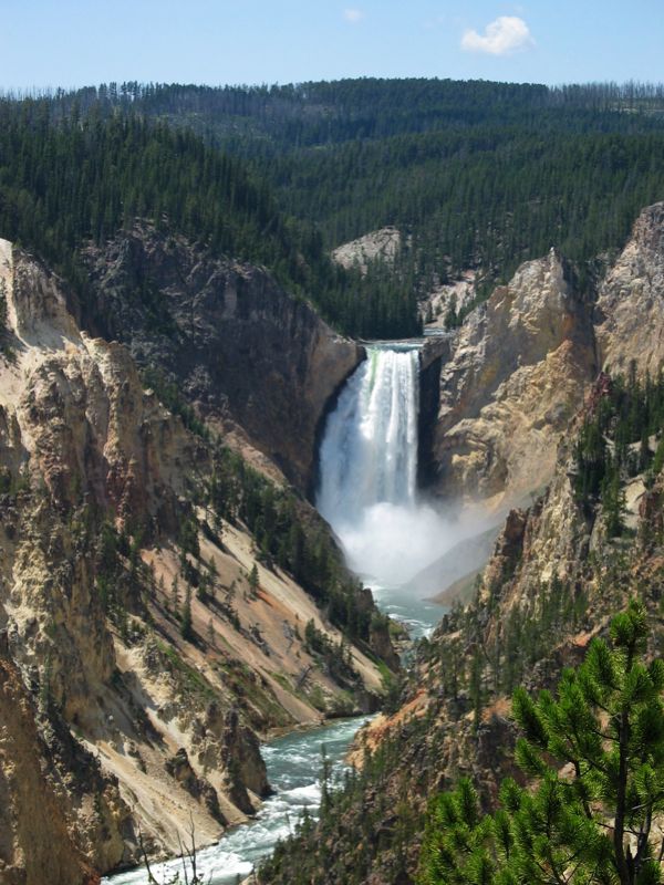 Lower Falls of Yellowstone - 13