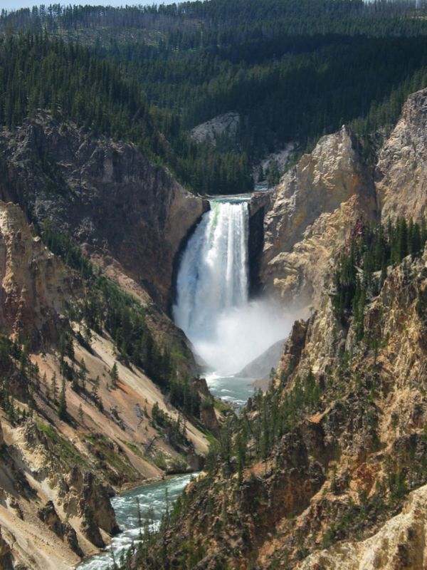 Lower Falls of Yellowstone - 24