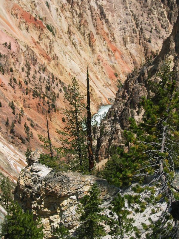 Lower Falls of Yellowstone - 32