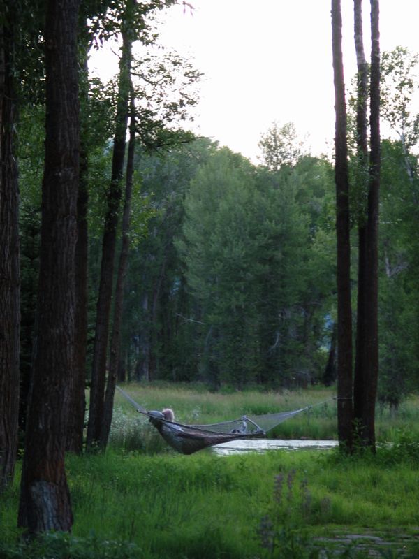 Henry in the Hammock - 1