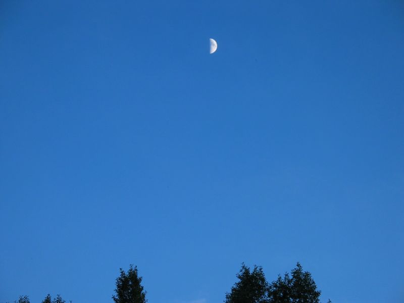 Moon Over Still Water