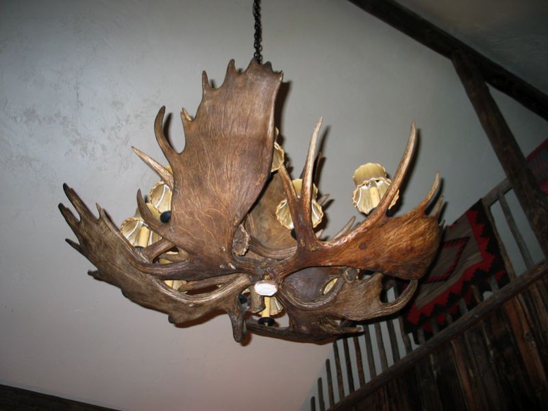 Antler Chandelier